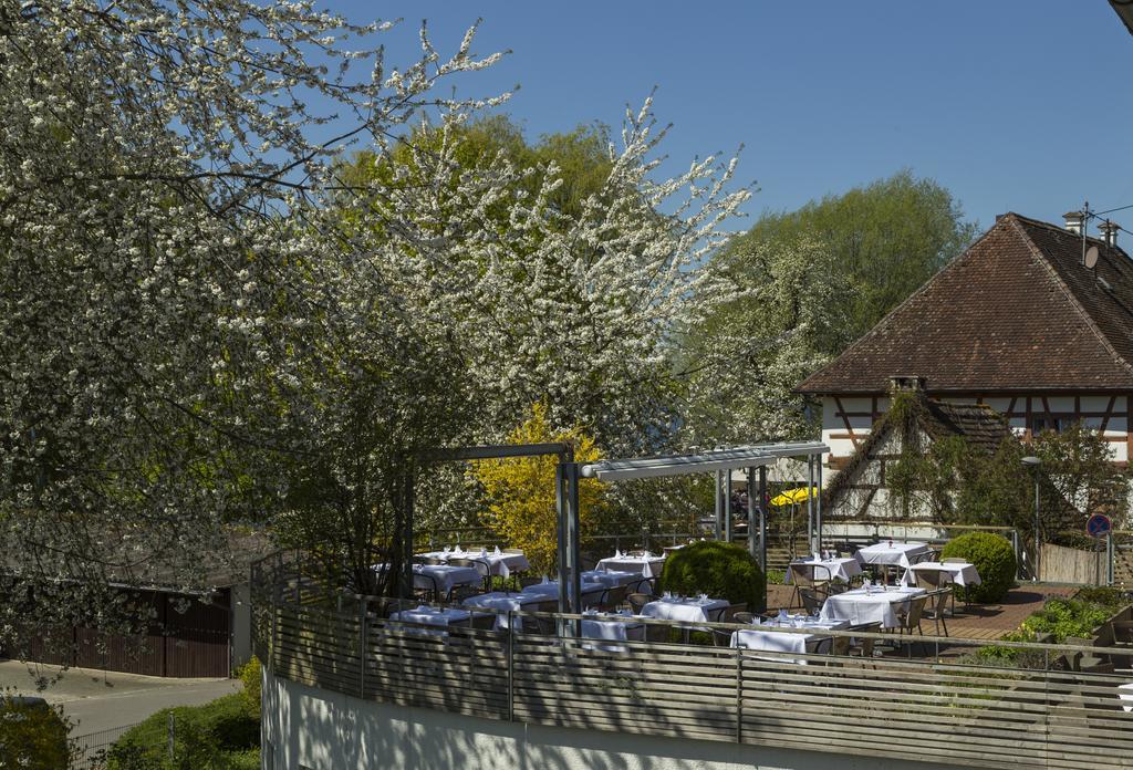 Pilgerhof Und Rebmannshof Hotel Uhldingen-Mühlhofen Exterior foto